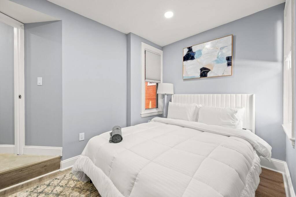 New! Cozy In Center City! Apartment Philadelphia