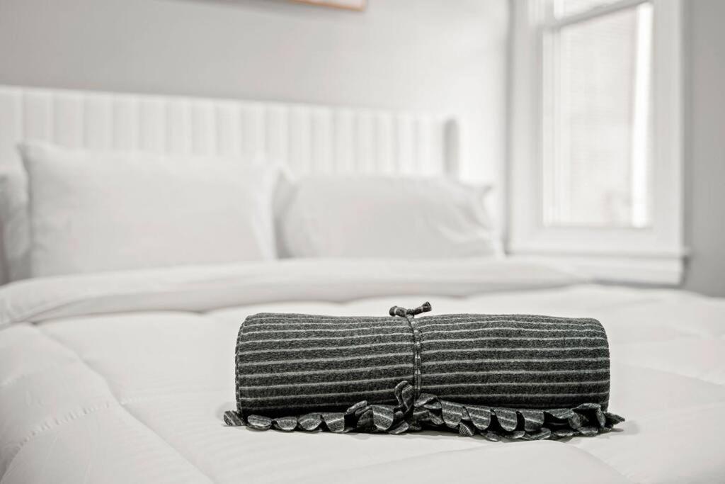 New! Cozy In Center City! Philadelphia