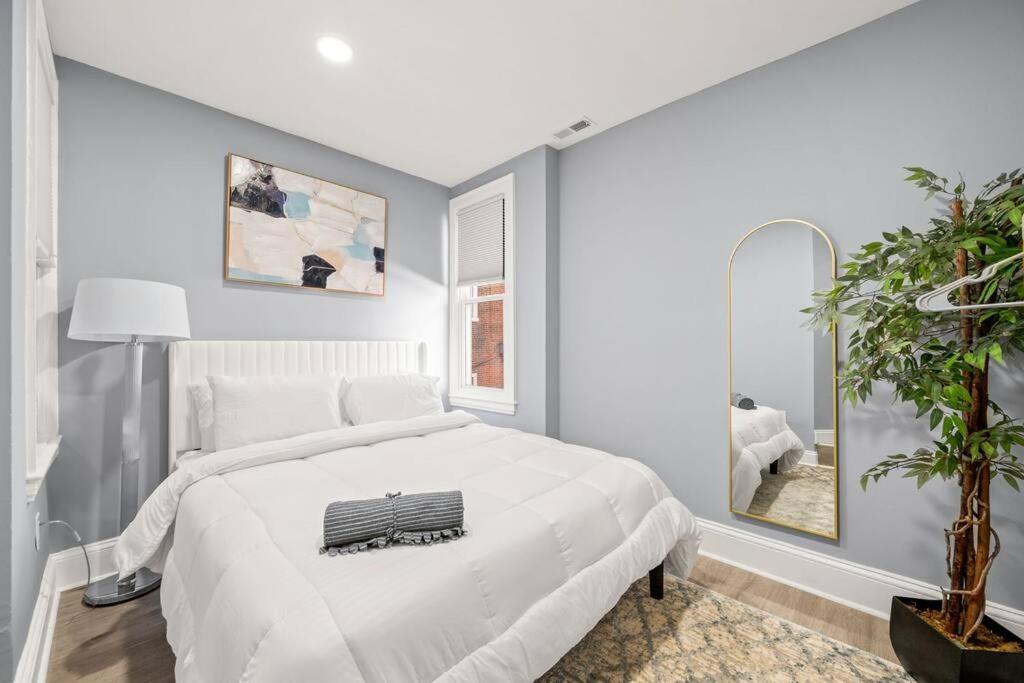 Apartment New! Cozy In Center City! *